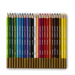 Discount 🛒 12 Pack: Watercolor Pencils by Artist's Loft™ Fundamentals™ by Artists Loft ✨